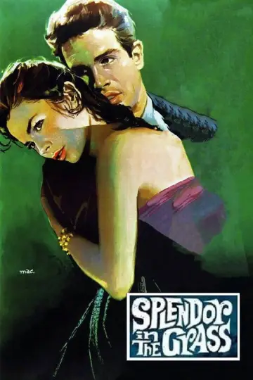 Plakat do filmu "Wiosenna bujność traw" #1014745