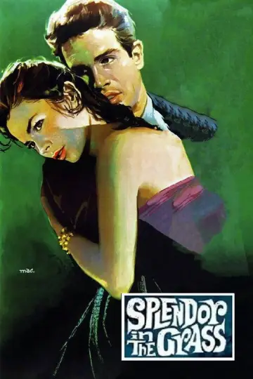 Plakat do filmu "Wiosenna bujność traw" #1014746