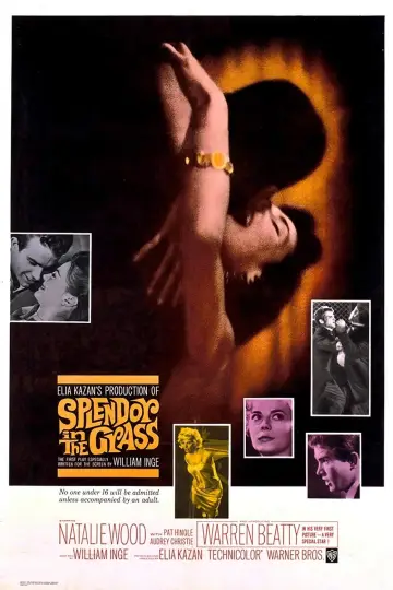 Plakat do filmu "Wiosenna bujność traw" #365065
