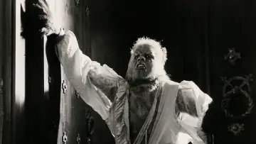 Zasłona do filmu "The Curse of the Werewolf" #434256