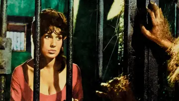 Zasłona do filmu "The Curse of the Werewolf" #434258