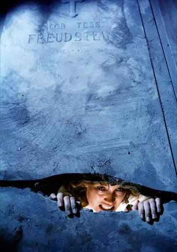 Plakat do filmu "Dom przy cmentarzu" #296741