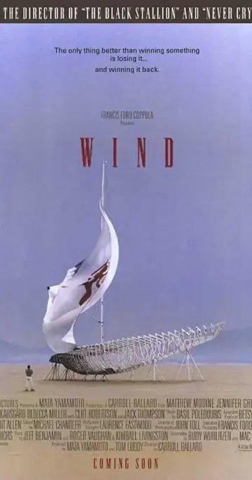 Plakat do filmu "Wiatr" #901916
