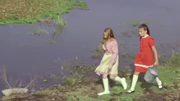 Zasłona do filmu "Trucizna dla wróżek" #818530