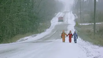 Zasłona do filmu "Pomiot" #995943