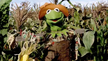Zasłona do filmu "Muppety w krainie Oz" #392698