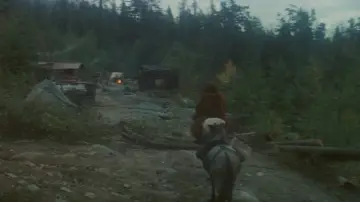 Zasłona do filmu "McCabe i pani Miller" #990497