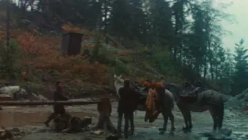 Zasłona do filmu "McCabe i pani Miller" #990515