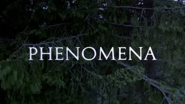Zasłona do filmu "Fenomeny" #994995