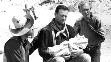 Zasłona do filmu "Trzej ojcowie chrzestni" #397608