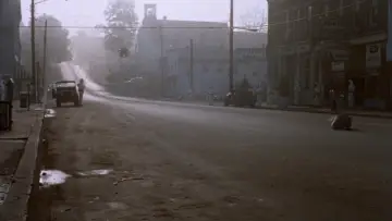 Zasłona do filmu "Szaleńcy" #1002334