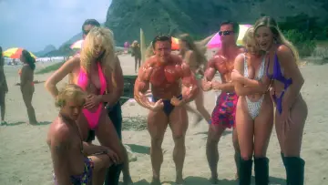 Zasłona do filmu "Laski z plaży" #947068