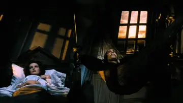 Zasłona do filmu "Czarny łabędź" #406597
