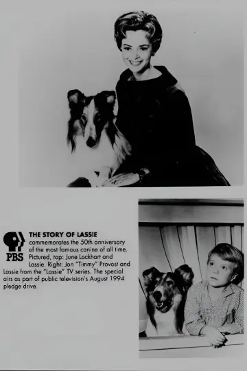 Lassie