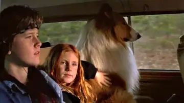 Zasłona do filmu "Lassie" #466838