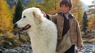 Zasłona do filmu "Bella i Sebastian" #252205