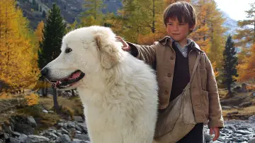 Zasłona do filmu "Bella i Sebastian" #252216