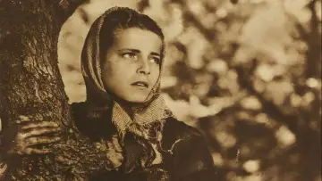 Zasłona do filmu "Cielo sulla palude" #1842041