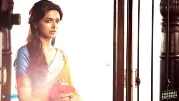 Zasłona do filmu "Chennai Express" #635065