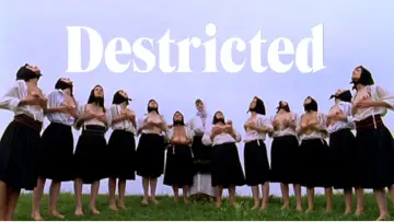 Zasłona do filmu "Destricted" #1096333