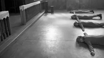 Zasłona do filmu "Ida" #230225