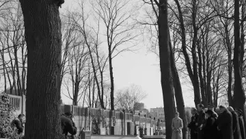 Zasłona do filmu "Ida" #989686