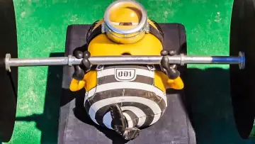 Zasłona do filmu "Minionki" #289992