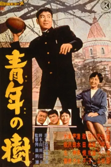 青年の樹 plakat