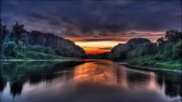 Zasłona do filmu "Amazonia. Przygody małpki Sai" #708201