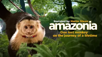 Zasłona do filmu "Amazonia. Przygody małpki Sai" #708203