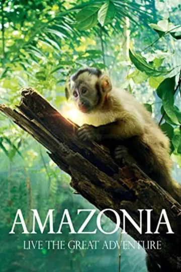 Plakat do filmu "Amazonia. Przygody małpki Sai" #708206