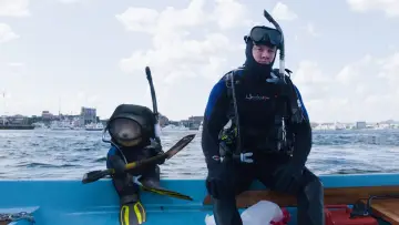 Zasłona do filmu "Ted 2" #165600