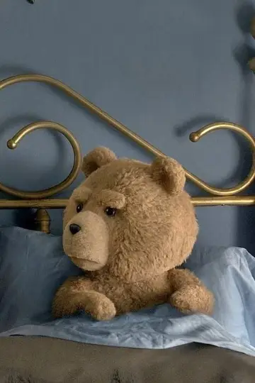 Plakat do filmu "Ted 2" #165606