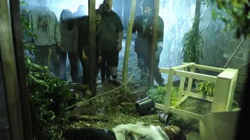 Zasłona do filmu "Noc zombie" #471994