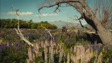 Zasłona do filmu "Slow West" #996331