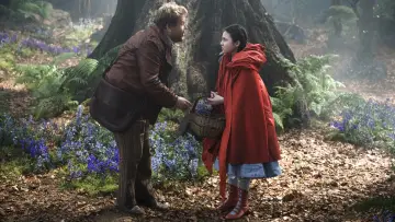 Zasłona do filmu "Tajemnice lasu" #373887
