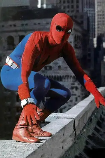 Plakat do filmu "Spider-Man" #1007320