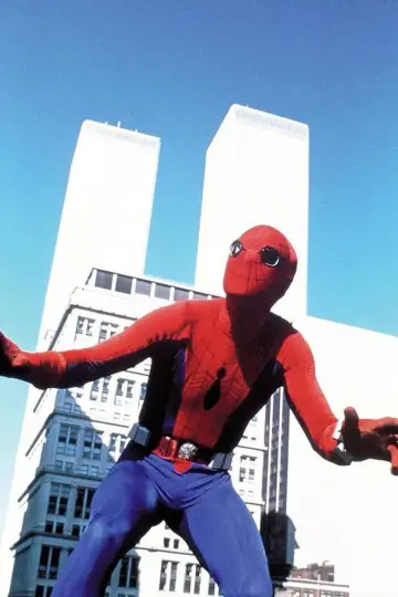 Plakat do filmu "Spider-Man" #341866