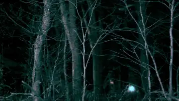 Zasłona do filmu "Cukierek albo Psikus" #1004179