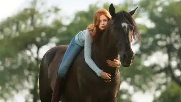 Zasłona do filmu "Wicher" #389405