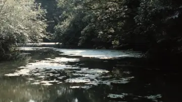 Zasłona do filmu "Nostos: il ritorno" #1210940
