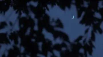 Zasłona do filmu "Nostos: il ritorno" #1210949