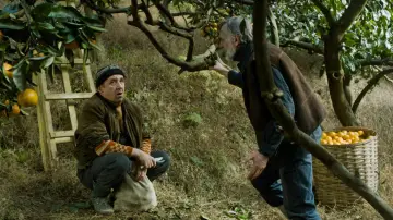 Zasłona do filmu "Mandarynki" #1834040