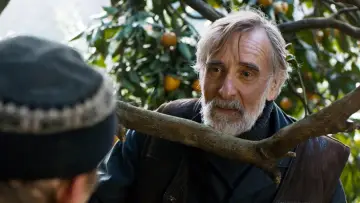 Zasłona do filmu "Mandarynki" #985332