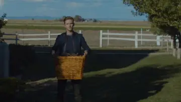 Zasłona do filmu "Gość" #851201