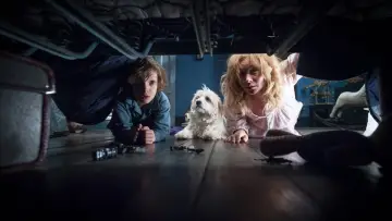 Zasłona do filmu "Babadook" #1731468
