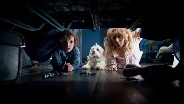Zasłona do filmu "Babadook" #282011