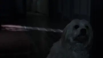 Zasłona do filmu "Babadook" #660141