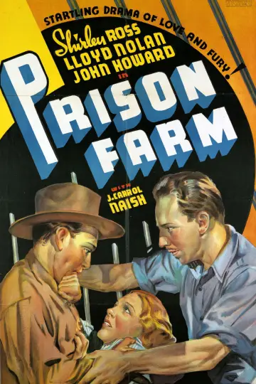 Plakat do filmu "Prison Break" #743392