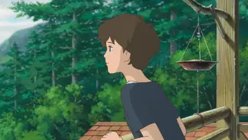 Zasłona do filmu "Marnie. Przyjaciółka ze snów" #182003